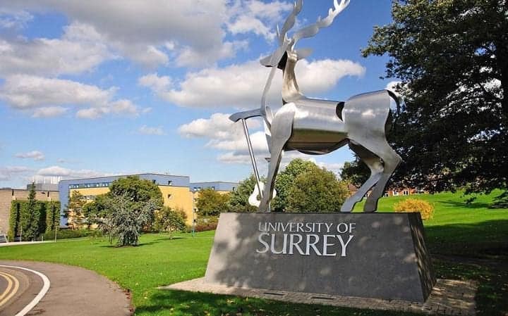 UK University of Surrey Scholarships.