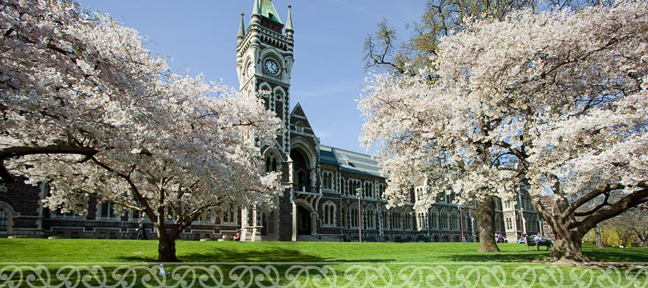 University of Otago, Full-time MBA Scholarships.
