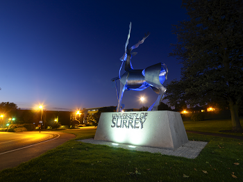 University of Surrey Full Surrey Award for UK/EU Students, UK, 2019