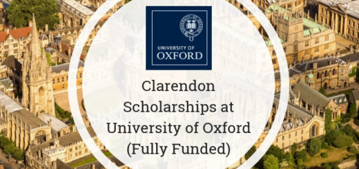 Clarendon Fund Scholarships.