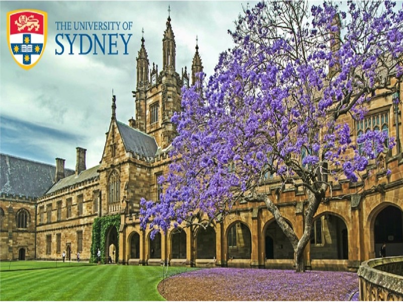 University of Sydney John Arthur Freeman PhD Scholarships.