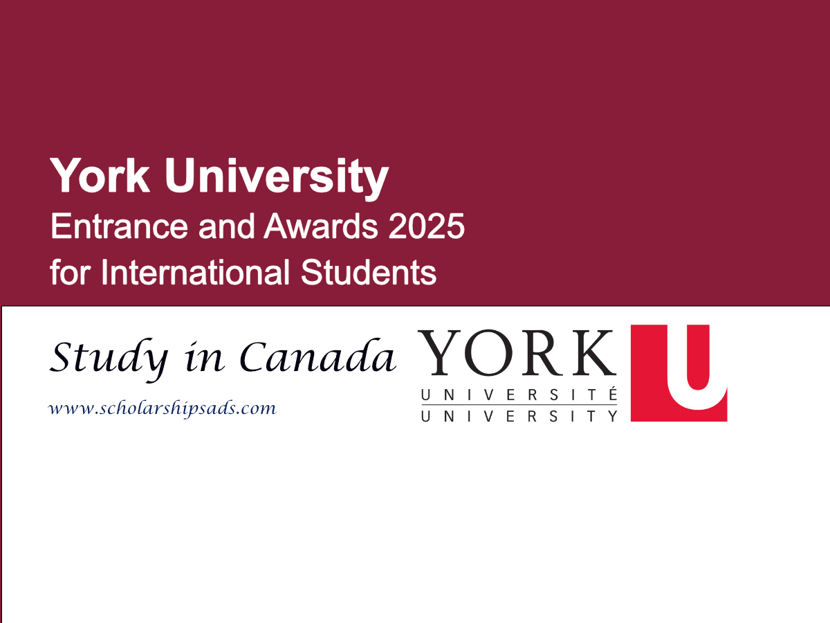 York University Canada Entrance and Awards 2025 for International Students