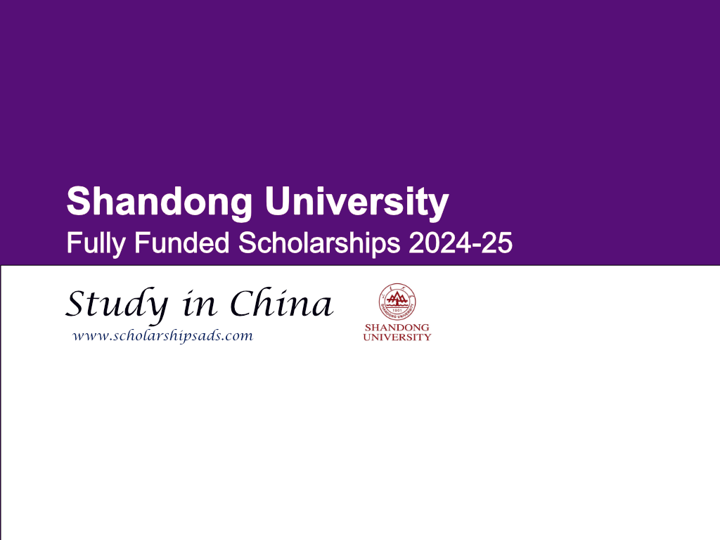 Shandong University Scholarships.