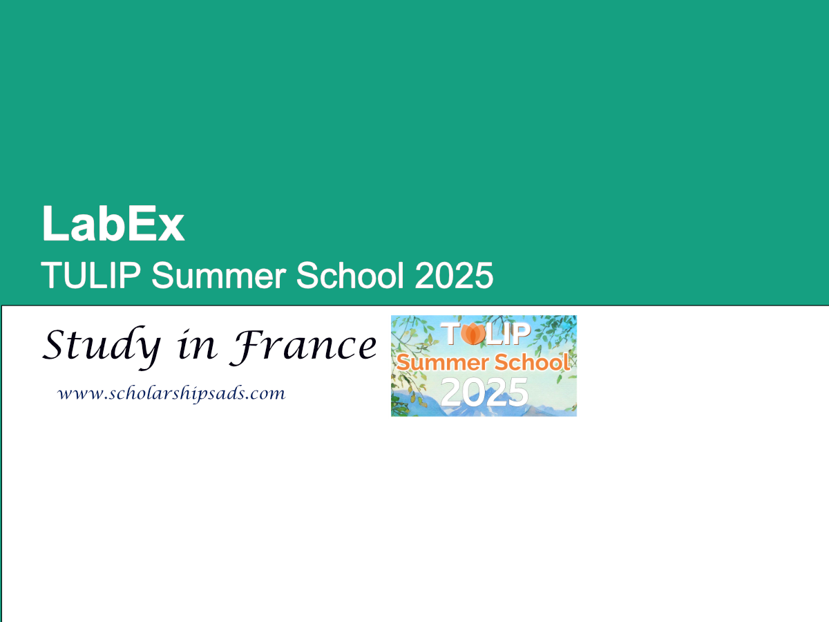 LabEx France TULIP Summer School 2025