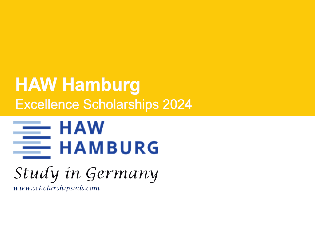 HAW Hamburg Excellence Scholarships.