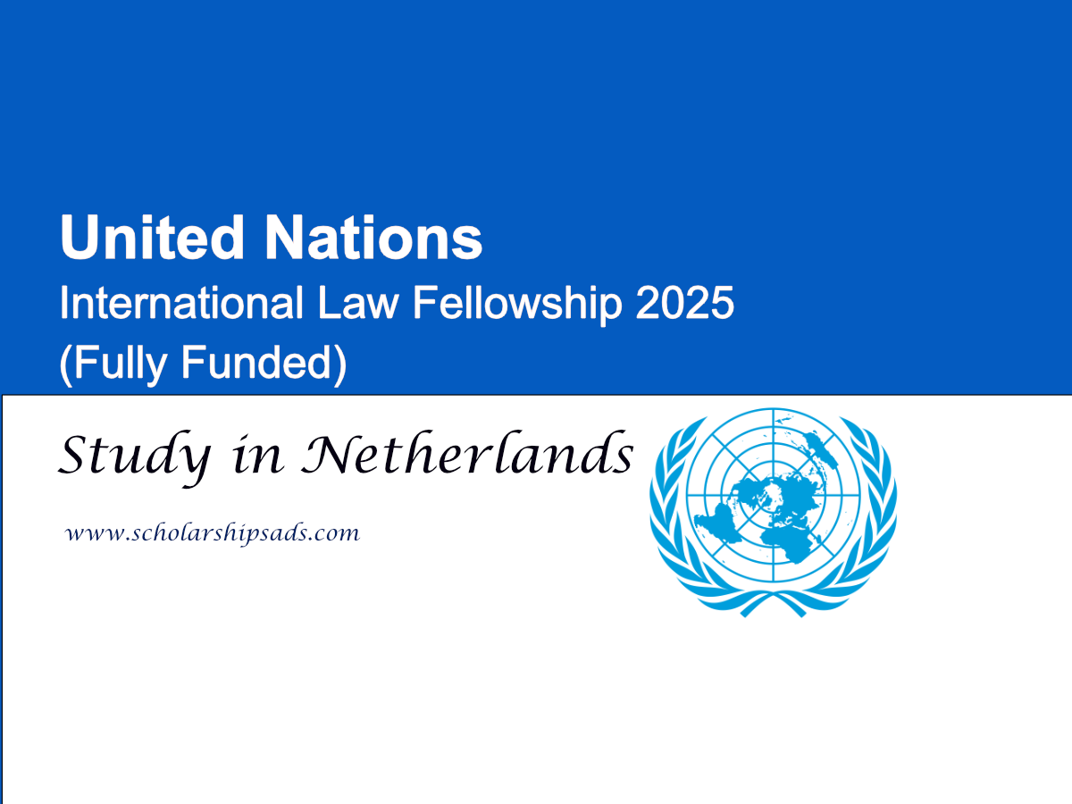 United Nations Netherlands International Law Fellowship 2025 (Fully Funded)