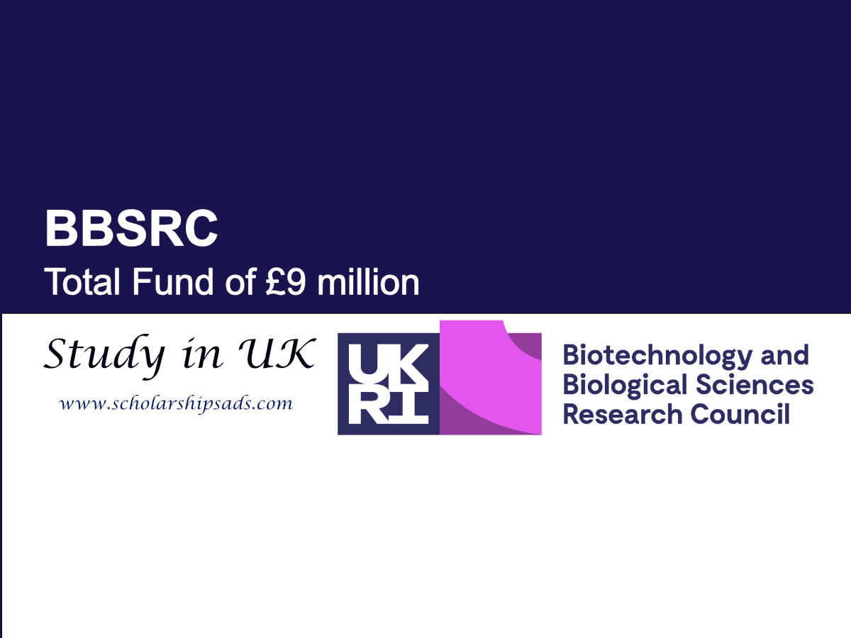 BBSRC UK Fellowships 2025