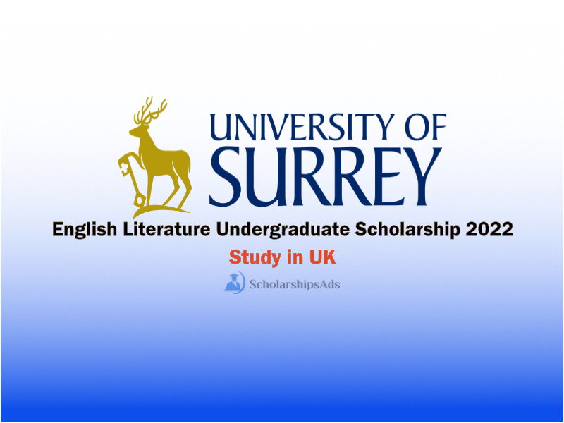English Literature Undergraduate Scholarships.