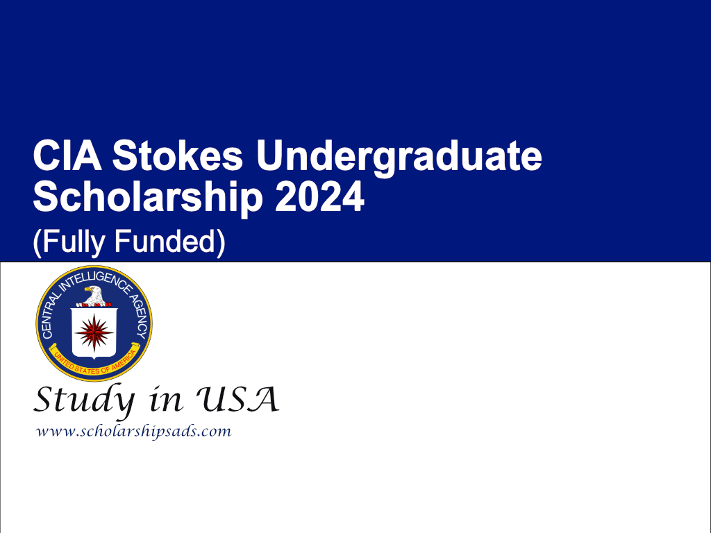 CIA Stokes Undergraduate Scholarships.