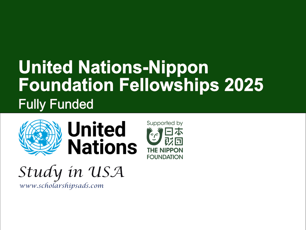 United Nations-Nippon Foundation Fellowships 2025 in USA (Fully Funded)