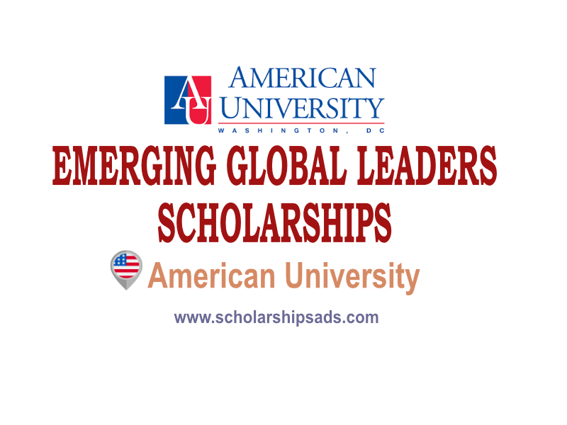 Emerging Global Leader Scholarships.