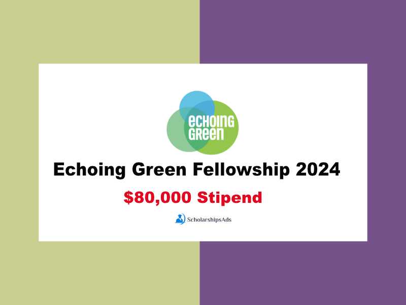 Echoing Green Fellowship 2024
