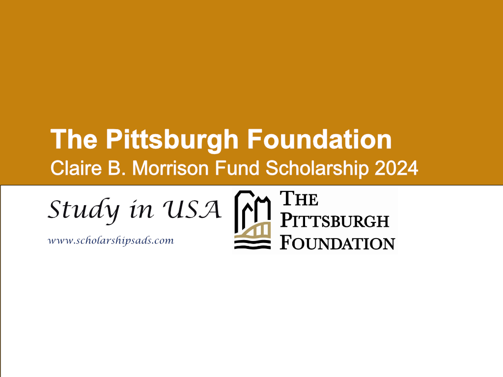 FULLY FUNDED Yale University Scholarships 2024 (undergraduate, masters and  PHD)