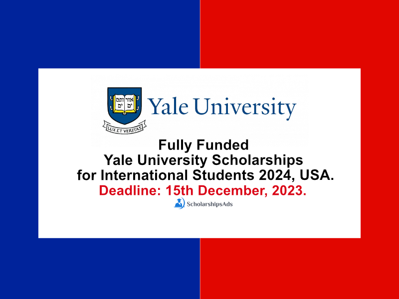 Yale University - All You Need to Know BEFORE You Go (2024)