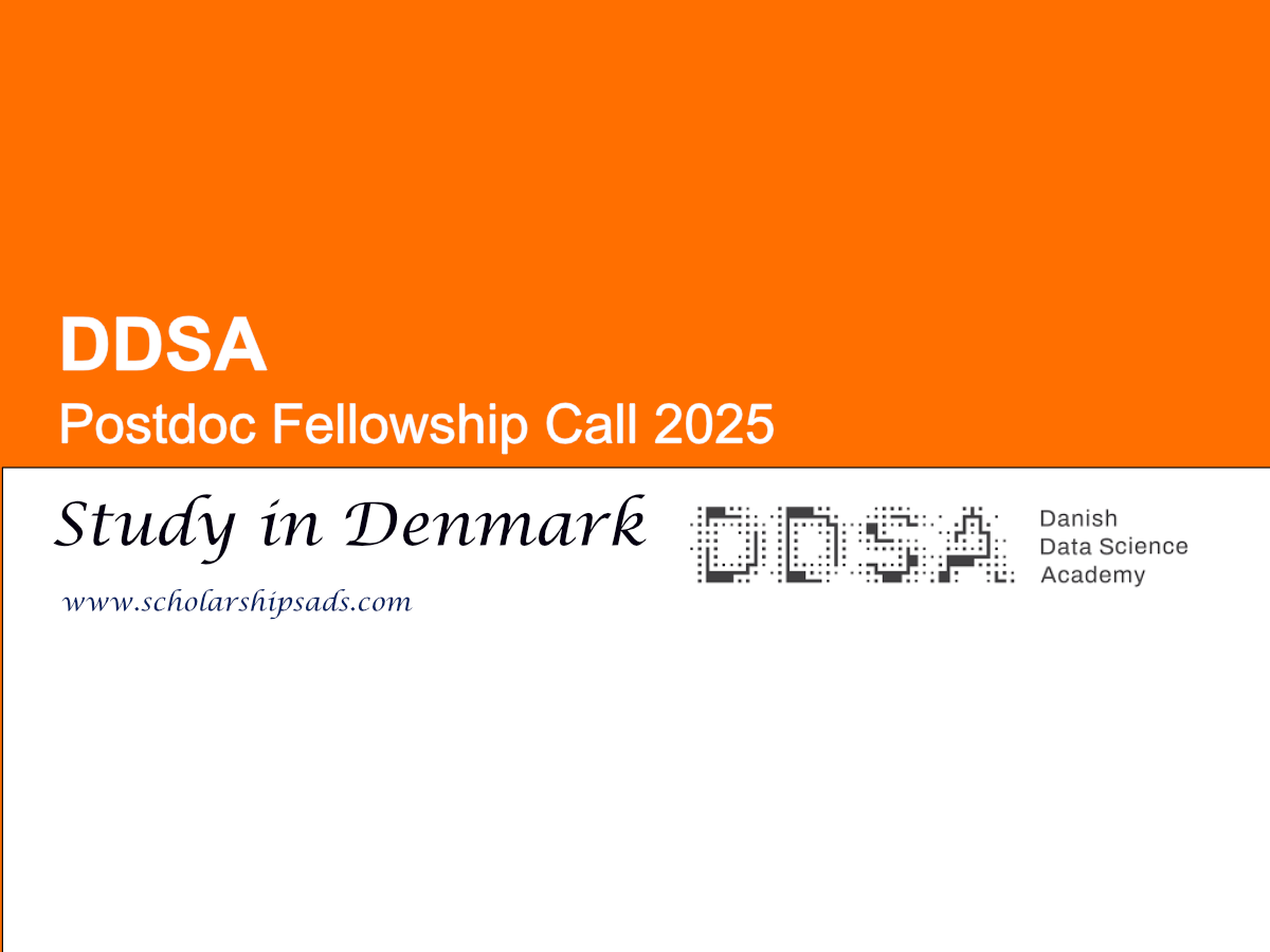 DDSA Denmark Postdoc Fellowship Call 2025