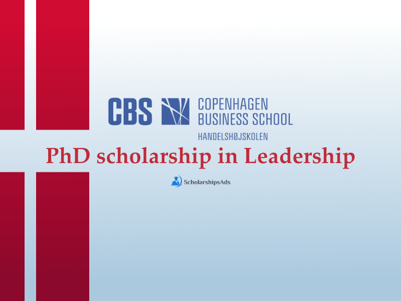 Denmark PhD Scholarships.