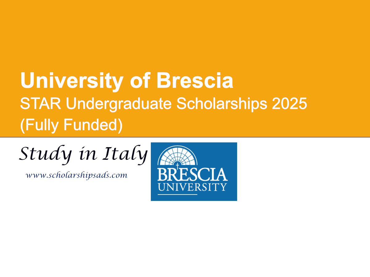 University of Brescia Italy STAR Undergraduate Scholarships.