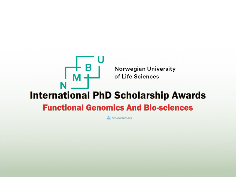 International PhD Scholarships.