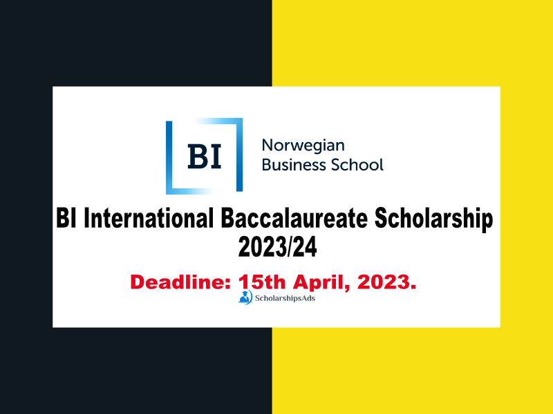 BI International Baccalaureate Scholarships.