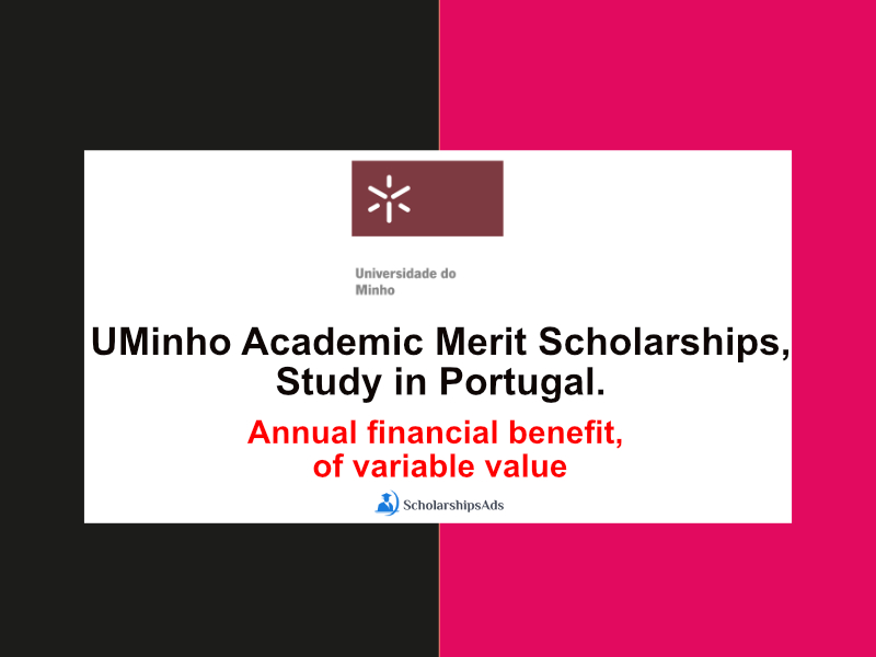 Partially Funded Academic Merit Scholarships.