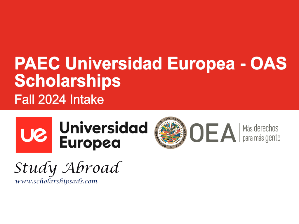 PAEC Universidad Europea - OAS Scholarships.