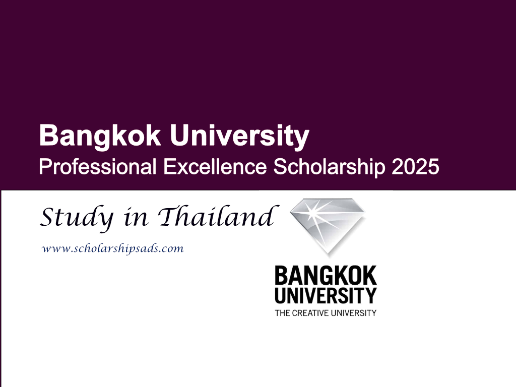 Bangkok University Thailand Professional Excellence Scholarships.