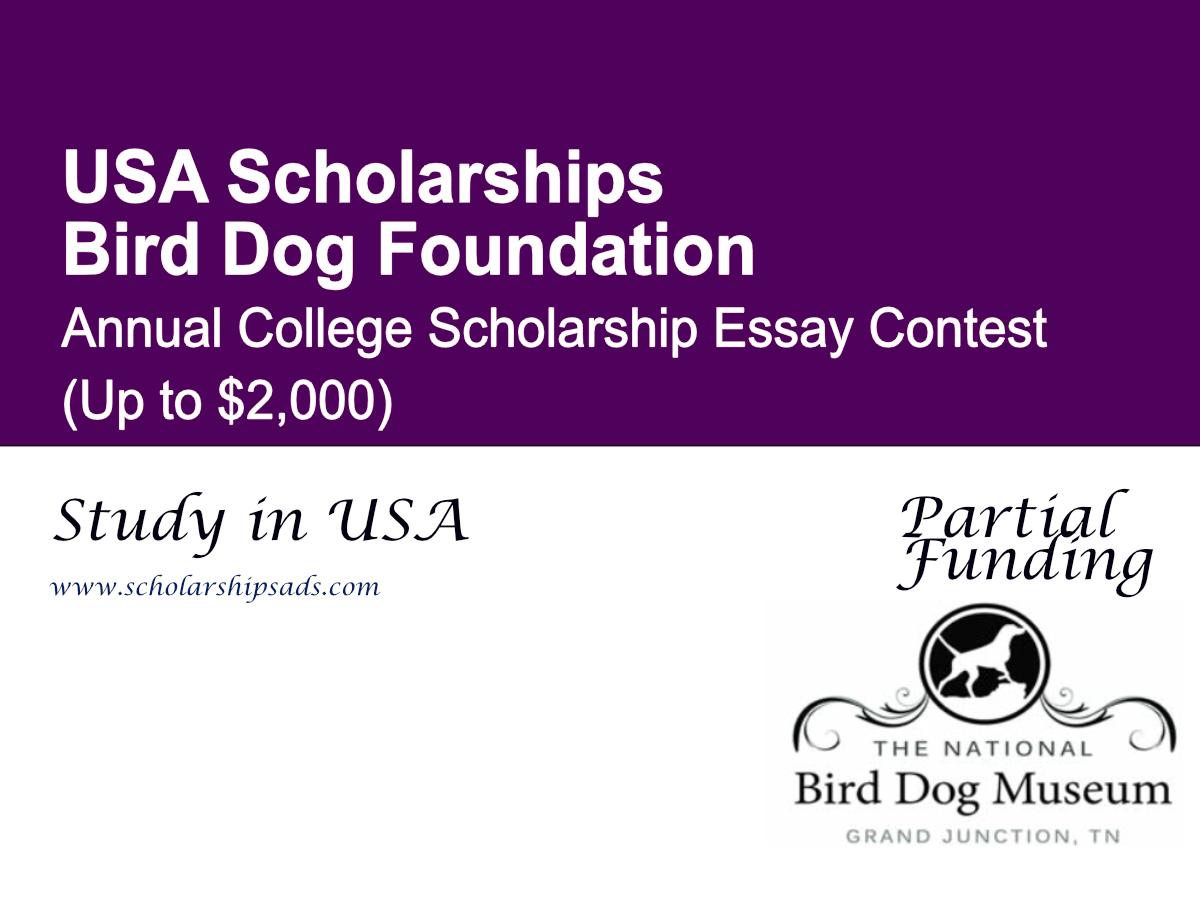 Bird Dog Foundation Annual Essay Contest