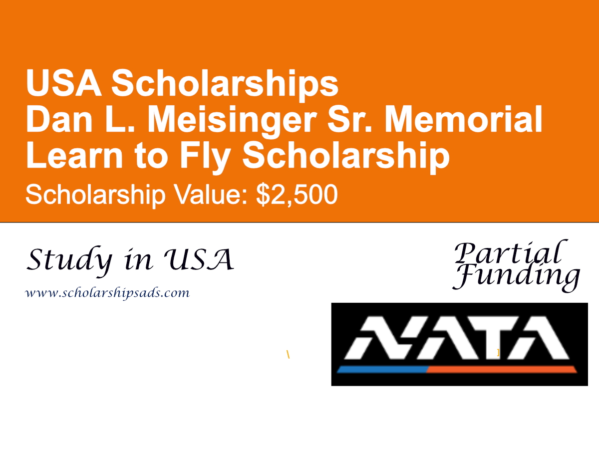 Dan L. Meisinger Sr. Memorial Learn to Fly Scholarship
